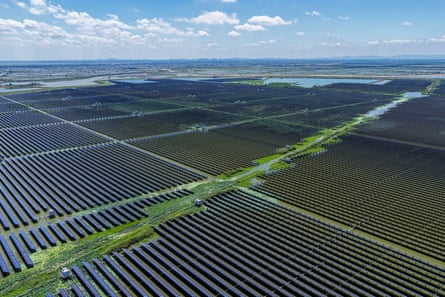 A large field filled with solar power grids